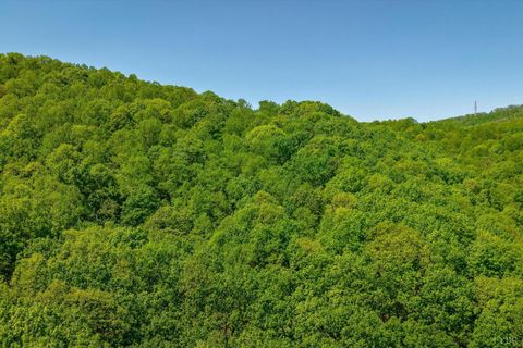 Tiny photo for 0 TBD Audrey Lane, Montvale, VA 24122 (MLS # 366350)