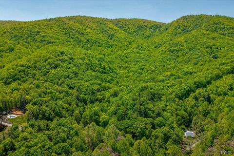 Tiny photo for 0 TBD Audrey Lane, Montvale, VA 24122 (MLS # 366350)