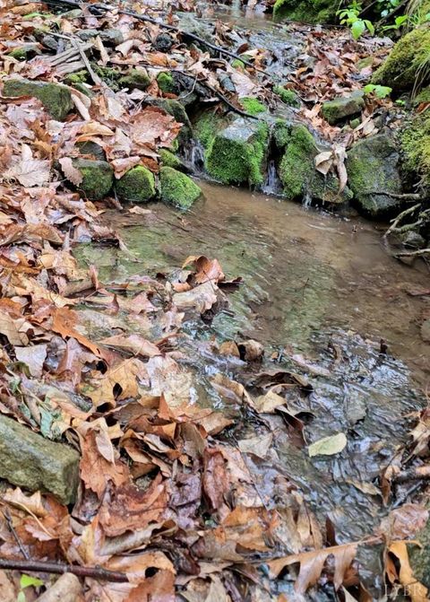 Tiny photo for 0 TBD Audrey Lane, Montvale, VA 24122 (MLS # 366350)
