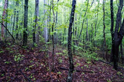 Tiny photo for 0 TBD Audrey Lane, Montvale, VA 24122 (MLS # 366350)