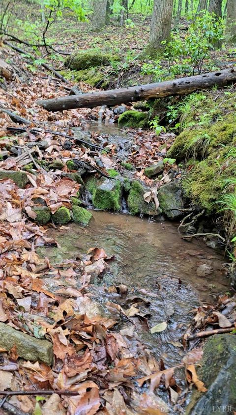 Tiny photo for 0 TBD Audrey Lane, Montvale, VA 24122 (MLS # 366350)