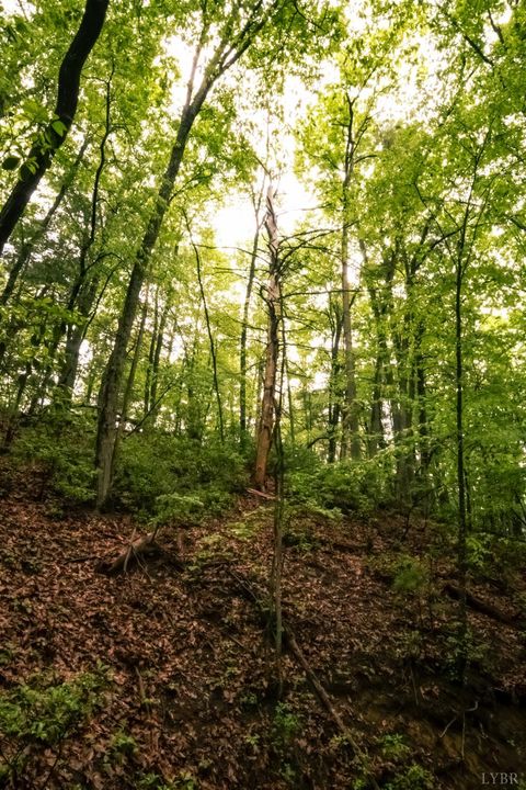 Tiny photo for 0 TBD Audrey Lane, Montvale, VA 24122 (MLS # 366350)