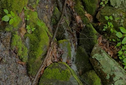 Tiny photo for 0 TBD Audrey Lane, Montvale, VA 24122 (MLS # 366350)