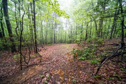 Tiny photo for 0 TBD Audrey Lane, Montvale, VA 24122 (MLS # 366350)