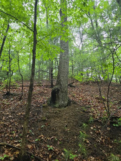 Tiny photo for 0 TBD Audrey Lane, Montvale, VA 24122 (MLS # 366350)