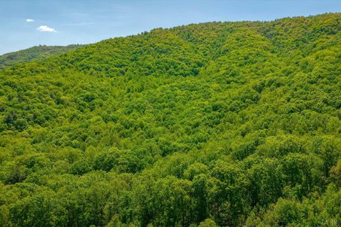 Tiny photo for 0 TBD Audrey Lane, Montvale, VA 24122 (MLS # 366350)