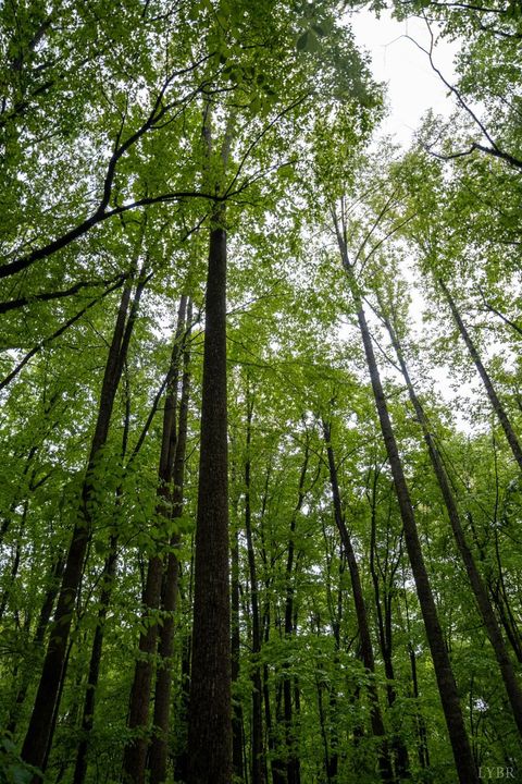 Tiny photo for 0 TBD Audrey Lane, Montvale, VA 24122 (MLS # 366350)