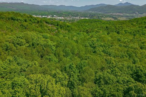 Tiny photo for 0 TBD Audrey Lane, Montvale, VA 24122 (MLS # 366350)