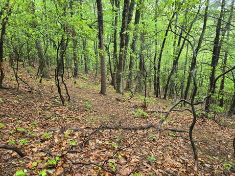 Tiny photo for 0 TBD Audrey Lane, Montvale, VA 24122 (MLS # 366350)