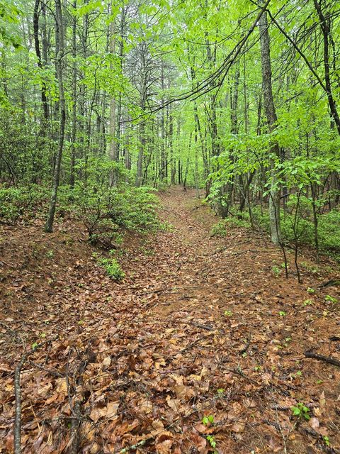 Tiny photo for 0 TBD Audrey Lane, Montvale, VA 24122 (MLS # 366350)