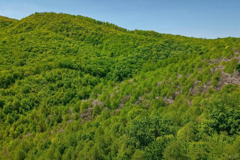 Tiny photo for 0 TBD Audrey Lane, Montvale, VA 24122 (MLS # 366350)