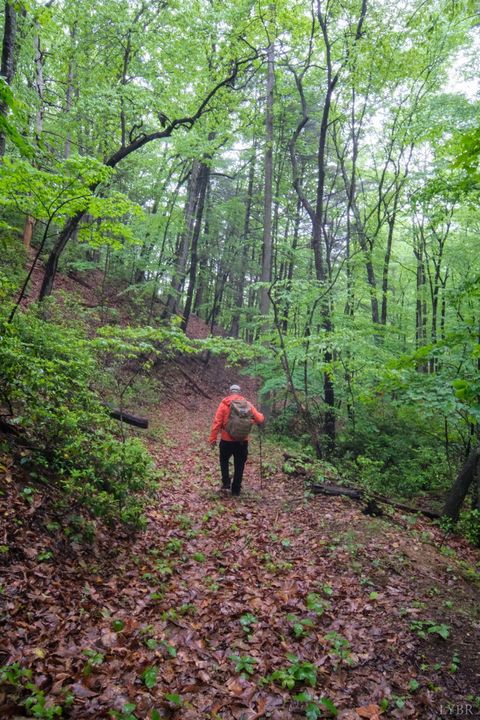 Tiny photo for 0 TBD Audrey Lane, Montvale, VA 24122 (MLS # 366350)