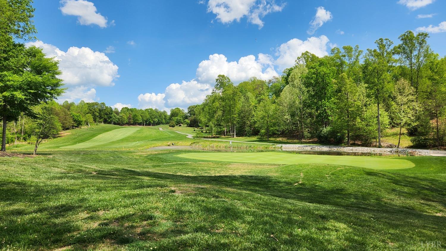 1057 Barrow Hills Drive, Moneta, Virginia image 10