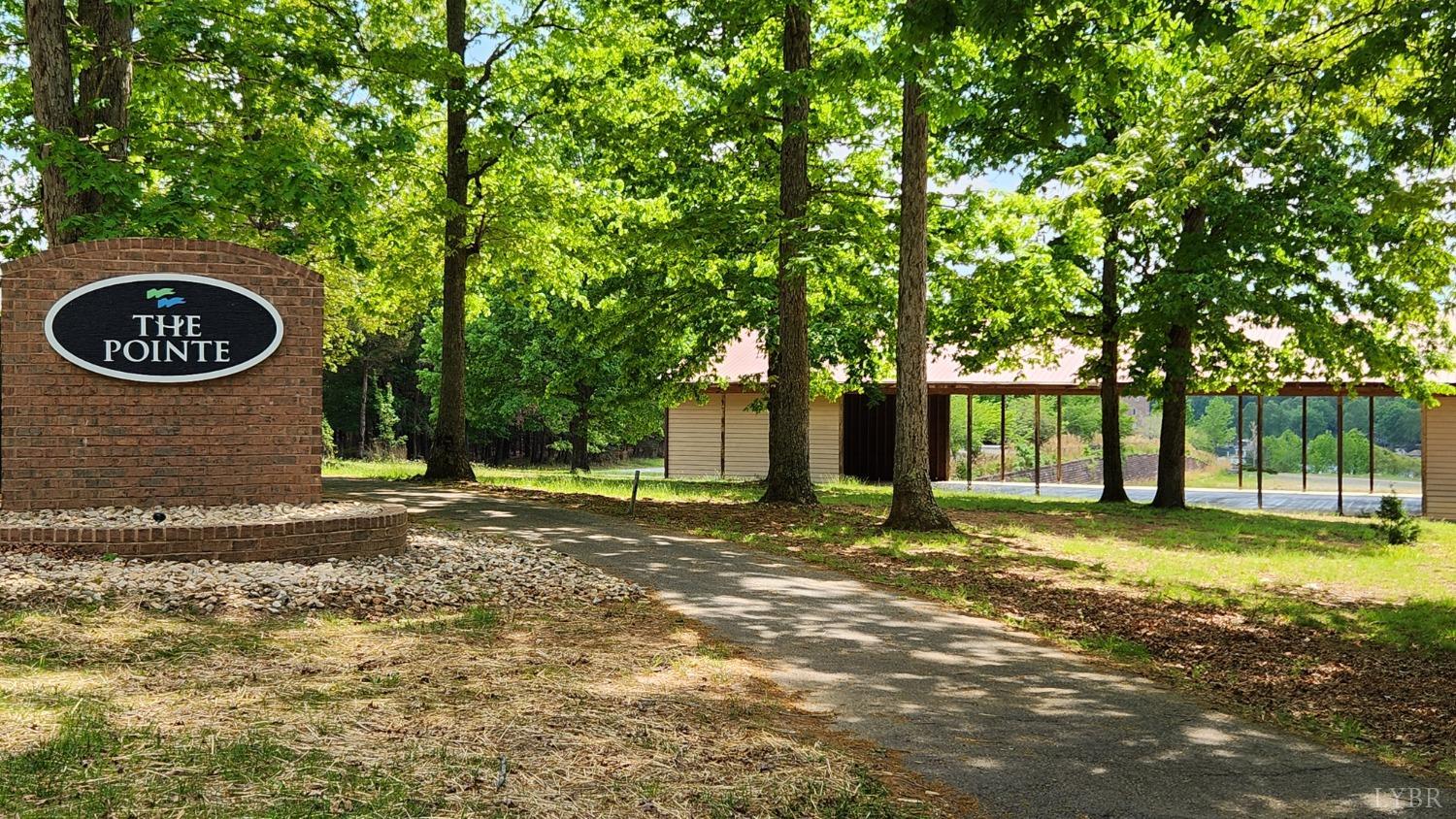1057 Barrow Hills Drive, Moneta, Virginia image 46