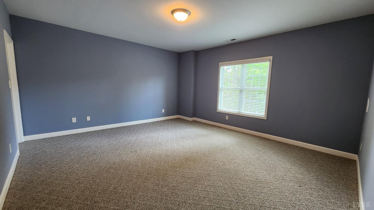 1057 Barrow Hills Drive, Moneta, Virginia image 35