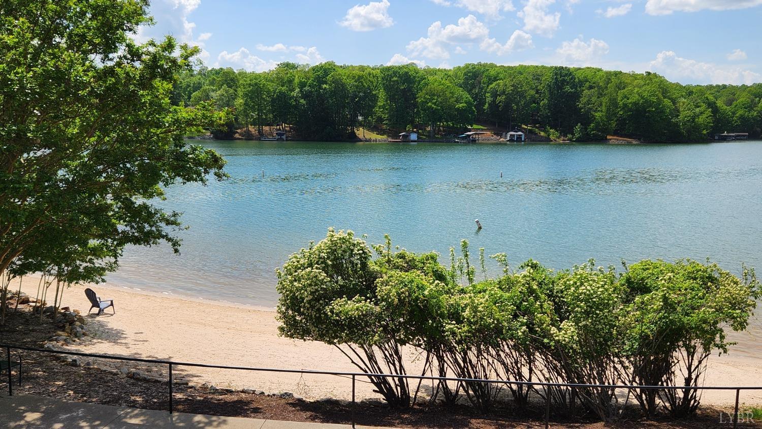 1057 Barrow Hills Drive, Moneta, Virginia image 48