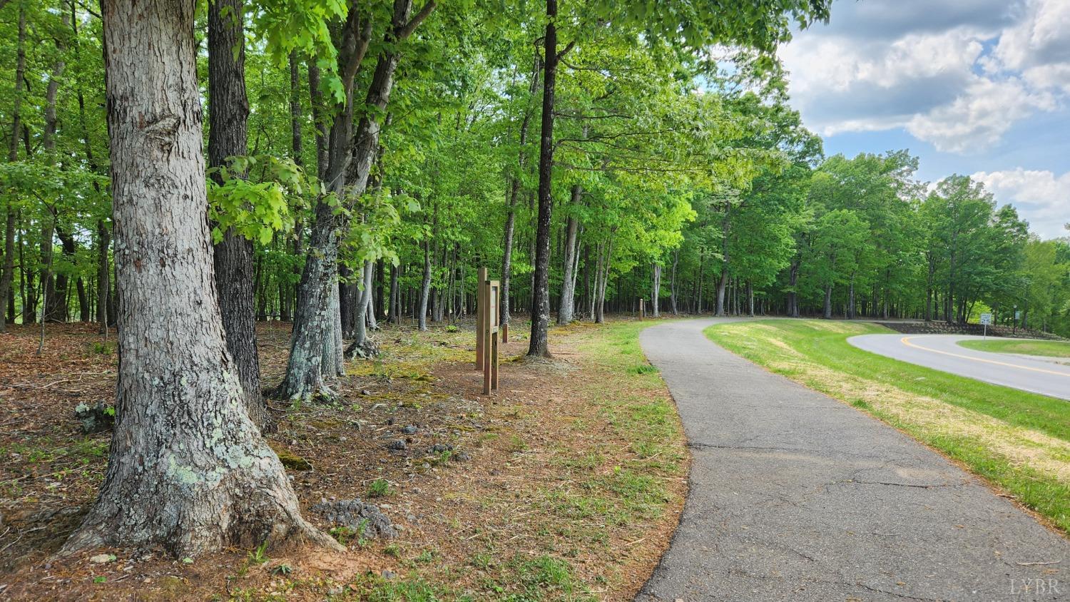 1057 Barrow Hills Drive, Moneta, Virginia image 45