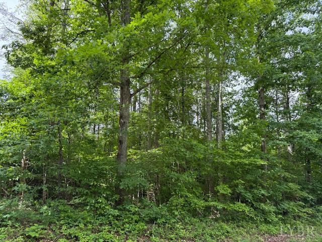 E. Pamplin Road, Pamplin, Virginia image 5