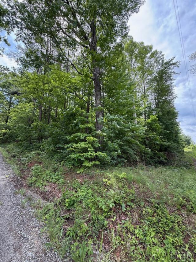 E. Pamplin Road, Pamplin, Virginia image 8