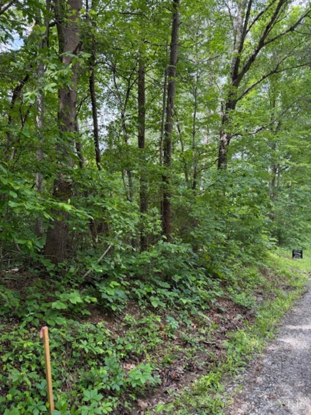 E. Pamplin Road, Pamplin, Virginia image 11