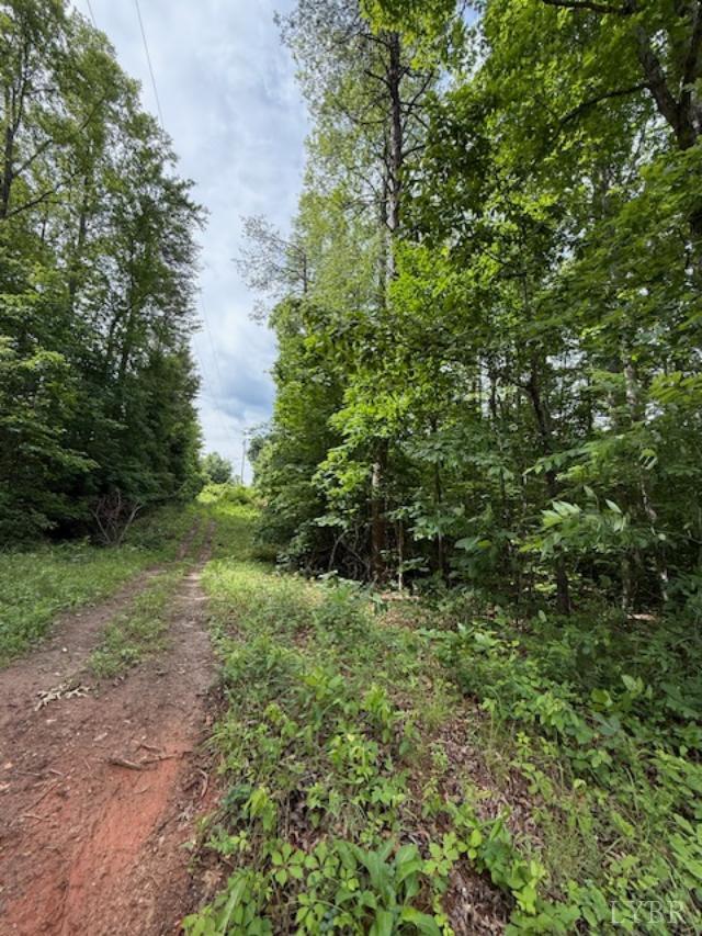 E. Pamplin Road, Pamplin, Virginia image 7