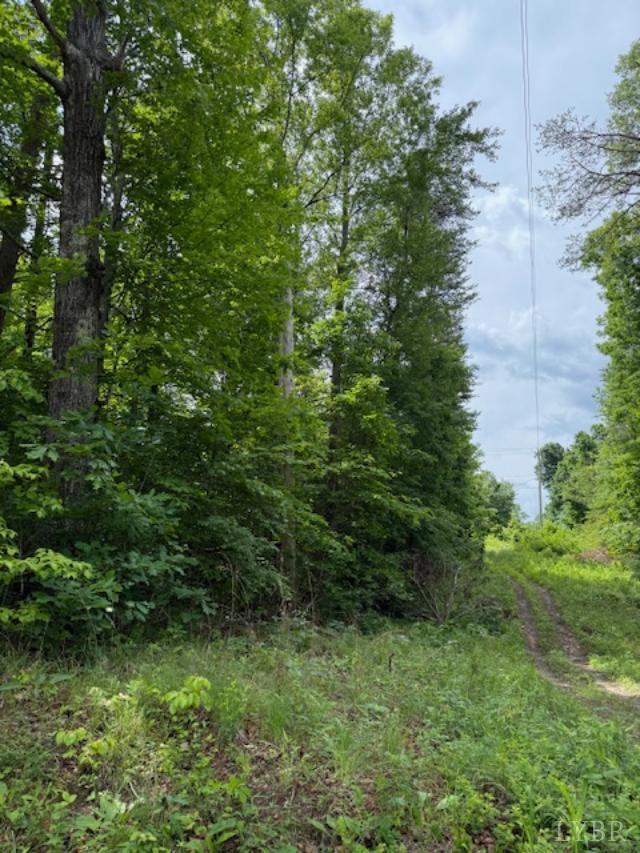 E. Pamplin Road, Pamplin, Virginia image 2