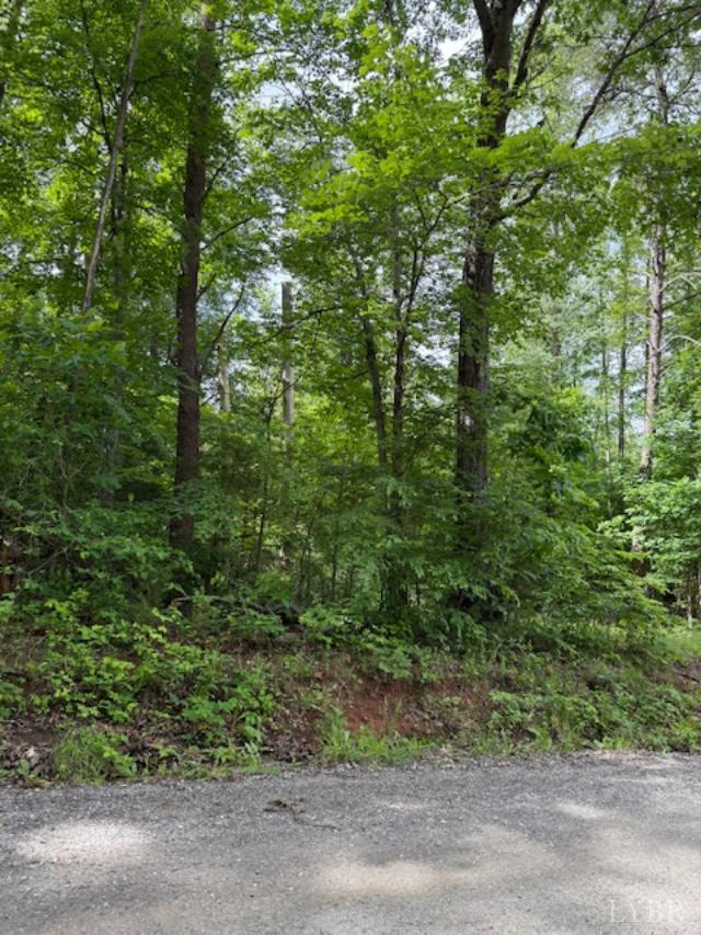 E. Pamplin Road, Pamplin, Virginia image 1