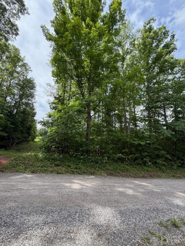 E. Pamplin Road, Pamplin, Virginia image 6