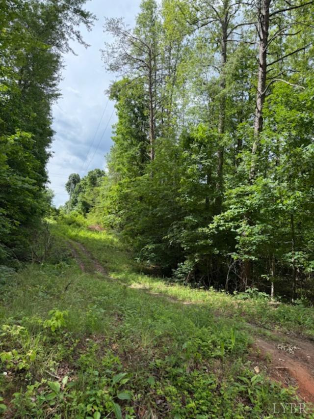 E. Pamplin Road, Pamplin, Virginia image 3