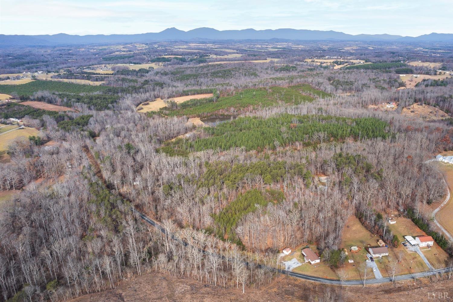 Chestnut Fork Road, Bedford, Virginia image 7