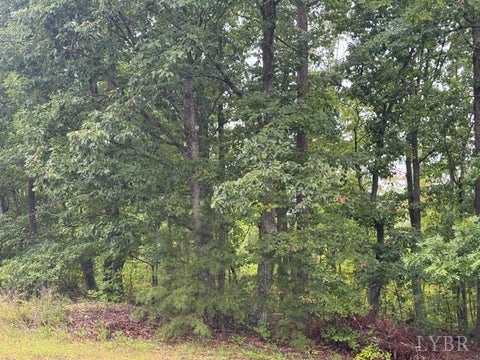 Vacant Land For Sale - W James Anderson Highway<br/> Buckingham County, Gladstone, VA 24553