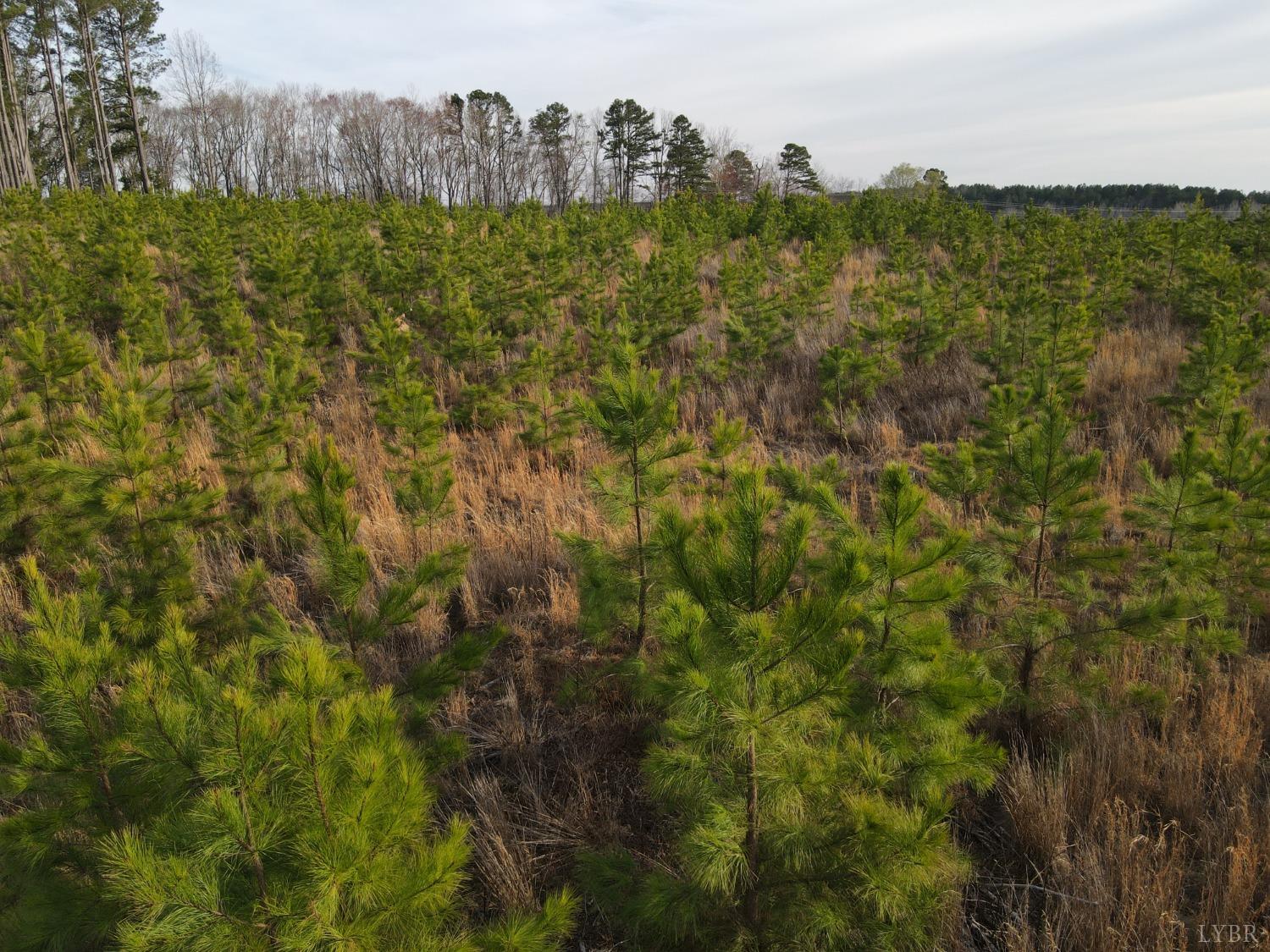 E Gretna Road, Gretna, Virginia image 8