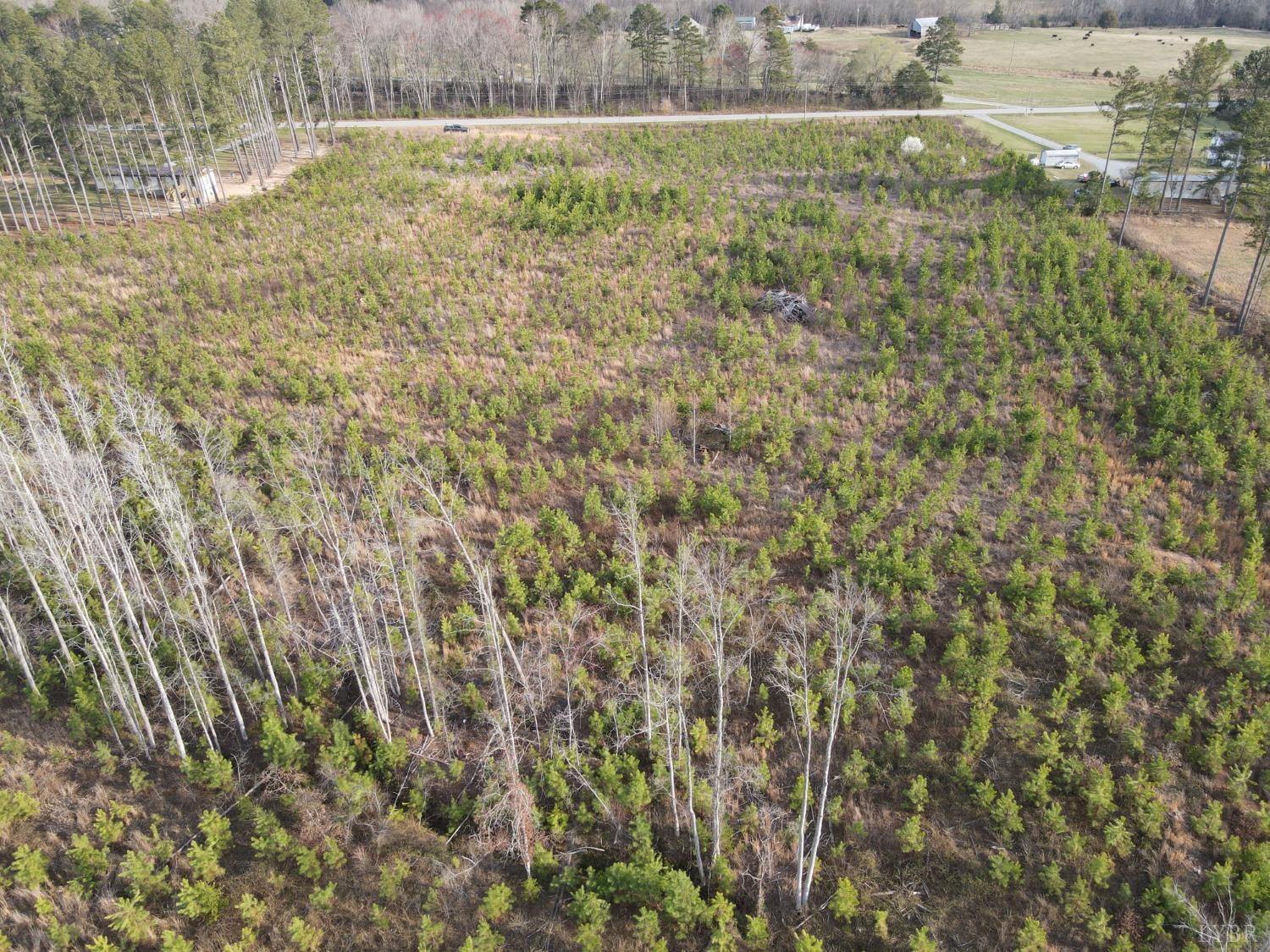 E Gretna Road, Gretna, Virginia image 6