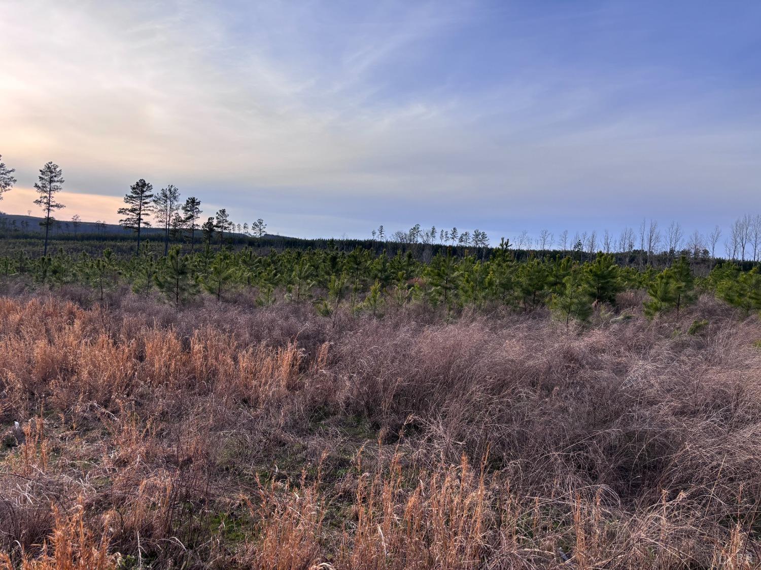 E Gretna Road, Gretna, Virginia image 2