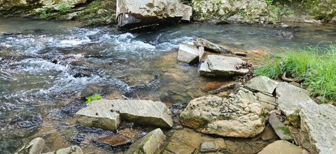 Vacant Land For Sale - Earley Farm Road<br/> Madison Heights, VA 24578