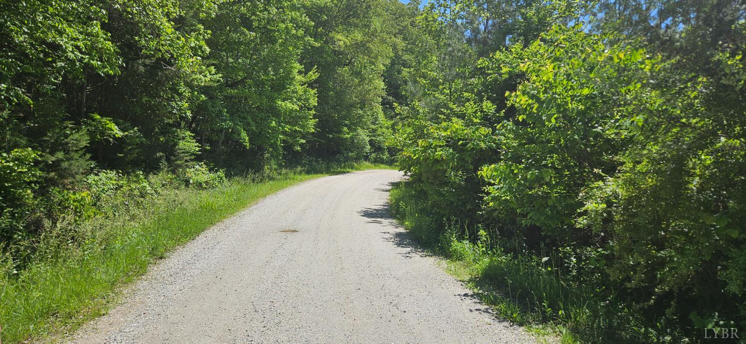 Earley Farm Road, Madison Heights, Virginia image 5