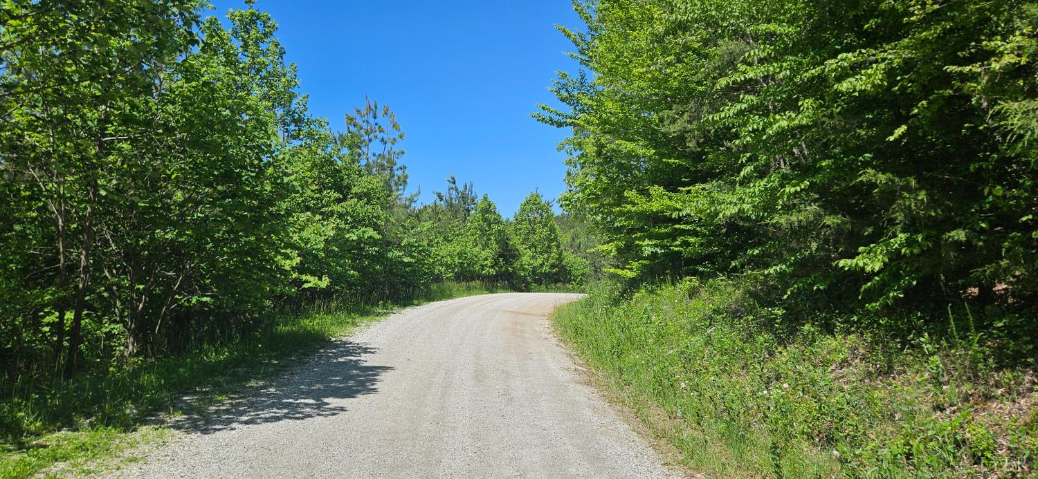 Earley Farm Road, Madison Heights, Virginia image 6