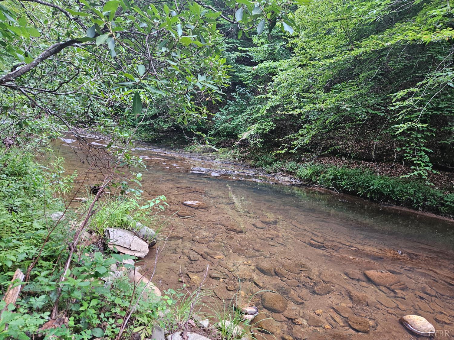 Earley Farm Road, Madison Heights, Virginia image 1