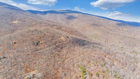 Tiny photo for 756 Crawfords Climb, Nellysford, VA 22958 (MLS # 364785)