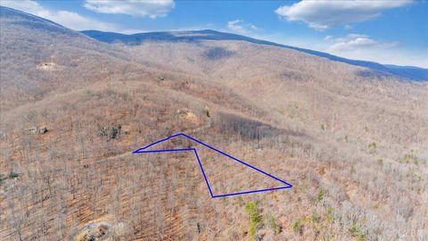 Photo of 756 Crawfords Climb, Nellysford, VA 22958 (MLS # 364785)