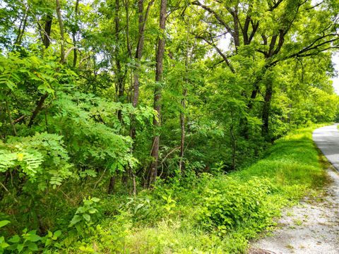 Tiny photo for 0 Elkton Farm Rd, Forest, VA 24551 (MLS # 364799)