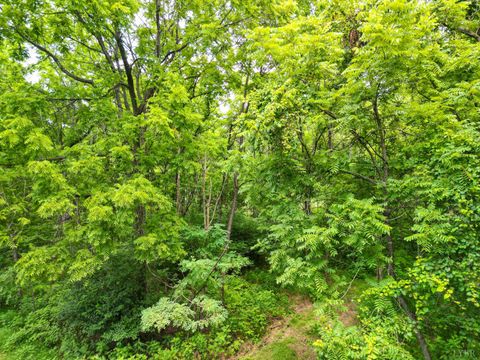 Tiny photo for 0 Elkton Farm Rd, Forest, VA 24551 (MLS # 364799)