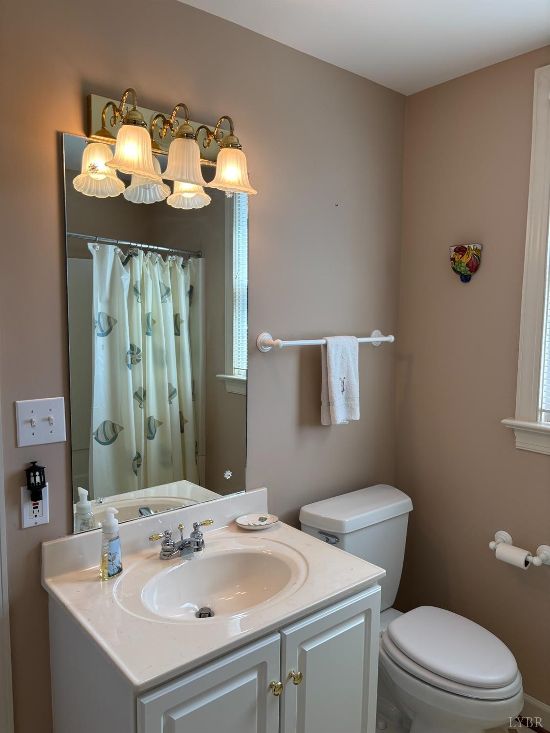 1007 Greenside Court, Forest, Virginia image 45