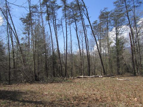 Tiny photo for 5 Logan Place, Nellysford, VA 22958 (MLS # 365923)
