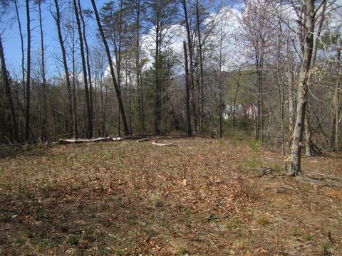 Tiny photo for 5 Logan Place, Nellysford, VA 22958 (MLS # 365923)