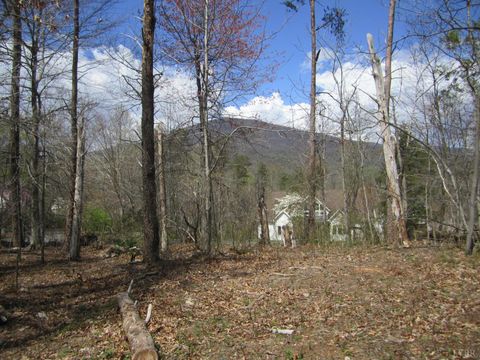 Photo of 5 Logan Place, Nellysford, VA 22958 (MLS # 365923)