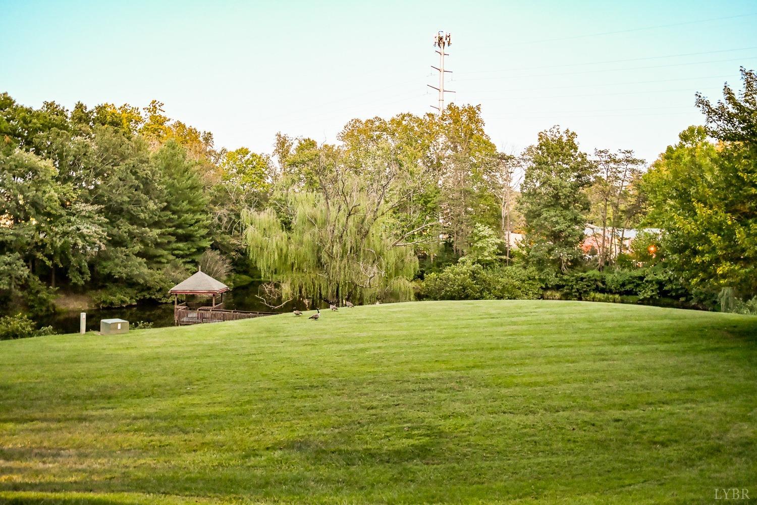 1926 Canterbury Court #304, Lynchburg, Virginia image 47