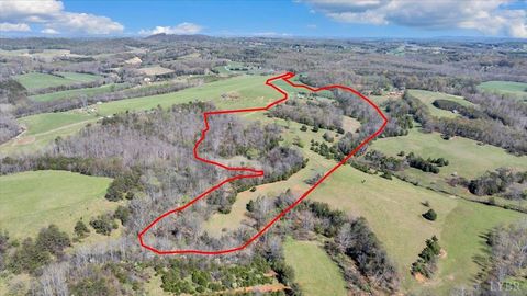 Tiny photo for 3861 Wheatland Road, Bedford, VA 24523 (MLS # 365841)