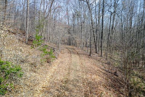 Tiny photo for 0 Christian Mill Creek Road, Amherst, VA 24521 (MLS # 365317)