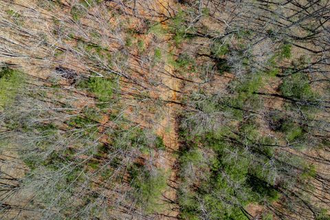 Tiny photo for 0 Christian Mill Creek Road, Amherst, VA 24521 (MLS # 365317)